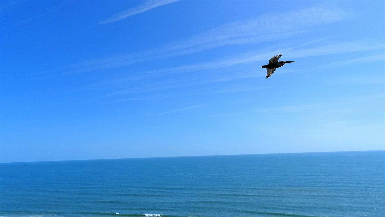 Penthouse Floor 1 Bedroom Resort Condo Direct Oceanfront Wyndham Ocean Walk - Daytona Funland 1908 Daytona Beach Exterior foto